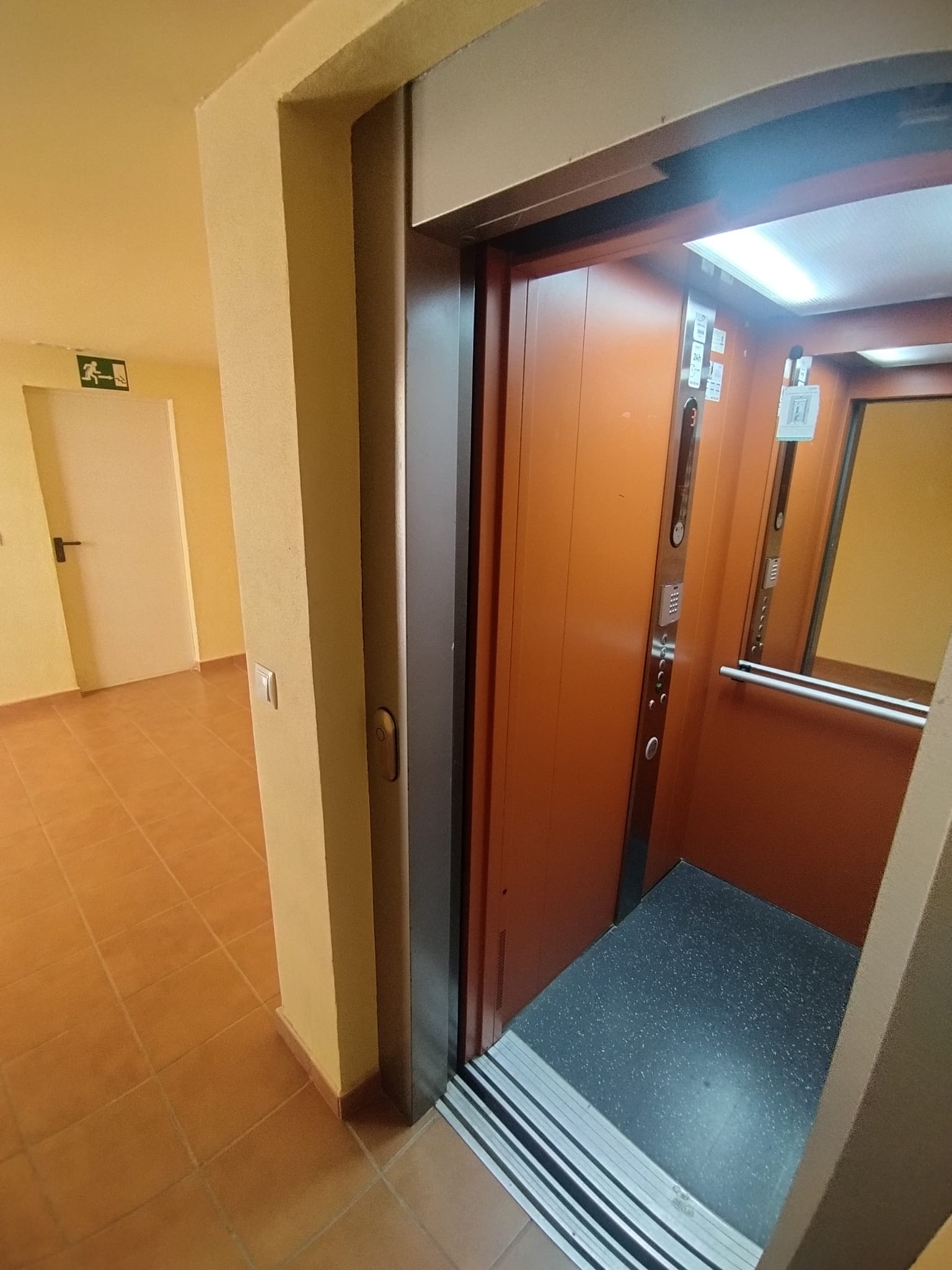 49847_WhatsApp Image 2025-02-20 at 16.45.47.jpeg